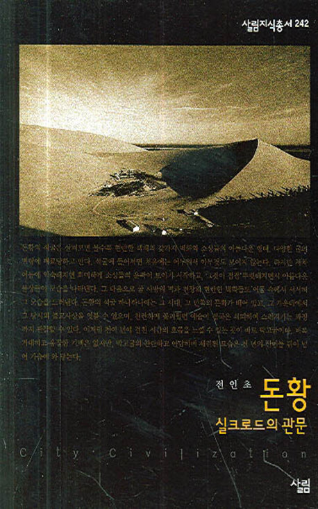 돈황(살림지식총서 242)