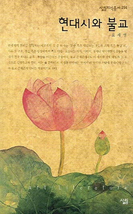 현대시와 불교(살림지식총서 256)