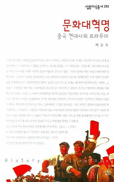 문화대혁명(살림지식총서 293)