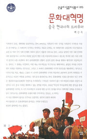 문화대혁명 (큰글자)(큰글자 살림지식총서 15)