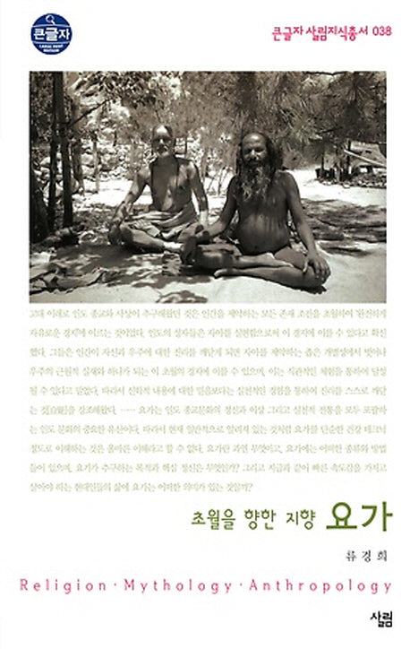 요가 (큰글자)(큰글자 살림지식총서 38)