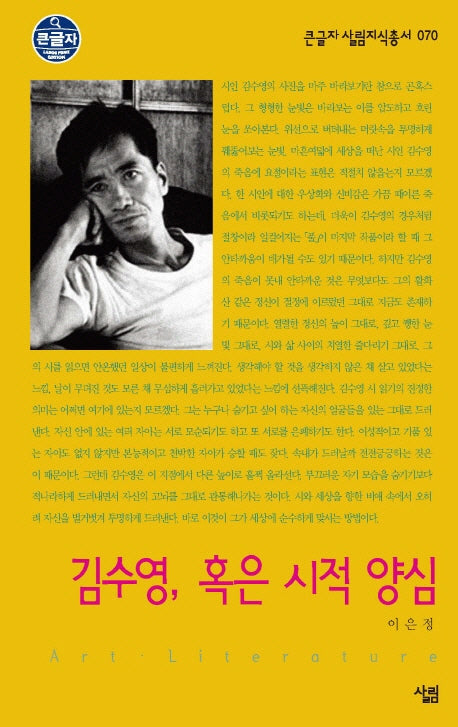 김수영 혹은 시적 양심(큰글자 살림지식총서 70)