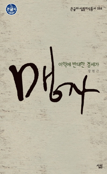 맹자 이익에 반대한 경세가(큰글자 살림지식총서 84)