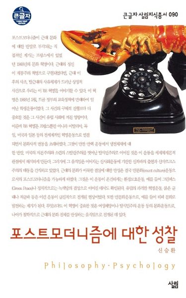 포스트모더니즘에 대한 성찰(큰글자 살림지식총서 90)