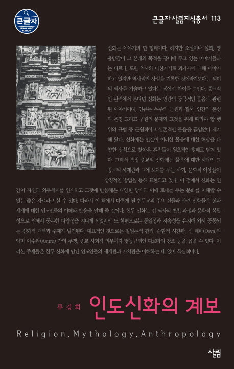인도신화의 계보(큰글자 살림지식총서 113)