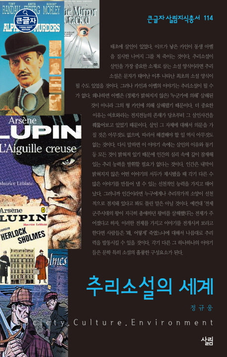 추리소설의 세계(큰글자 살림지식총서 114)