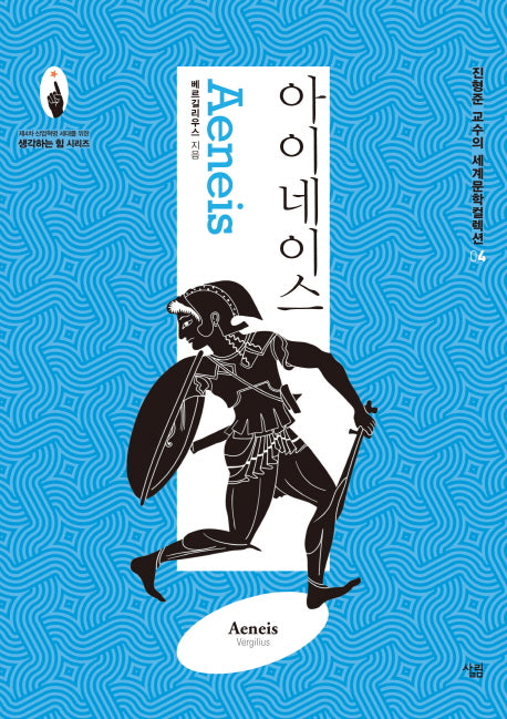 아이네이스(진형준 교수의 세계문학컬렉션 4)