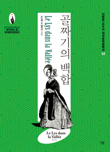 골짜기의 백합(진형준 교수의 세계문학컬렉션 22)