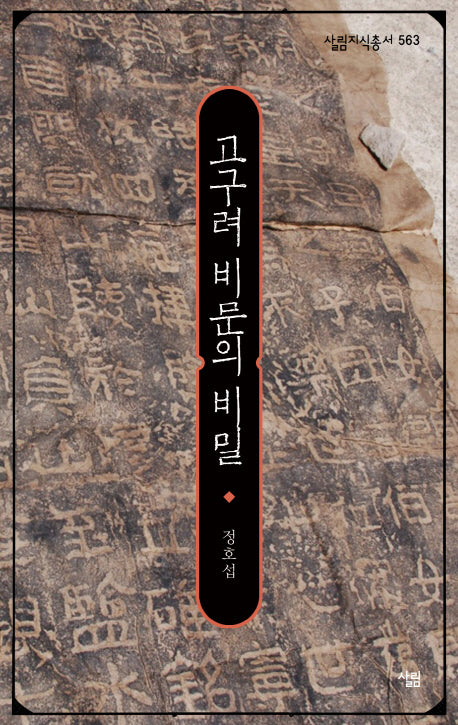 고구려 비문의 비밀(살림지식총서 563)