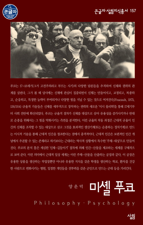 미셸 푸코(큰글자 살림지식총서 157)