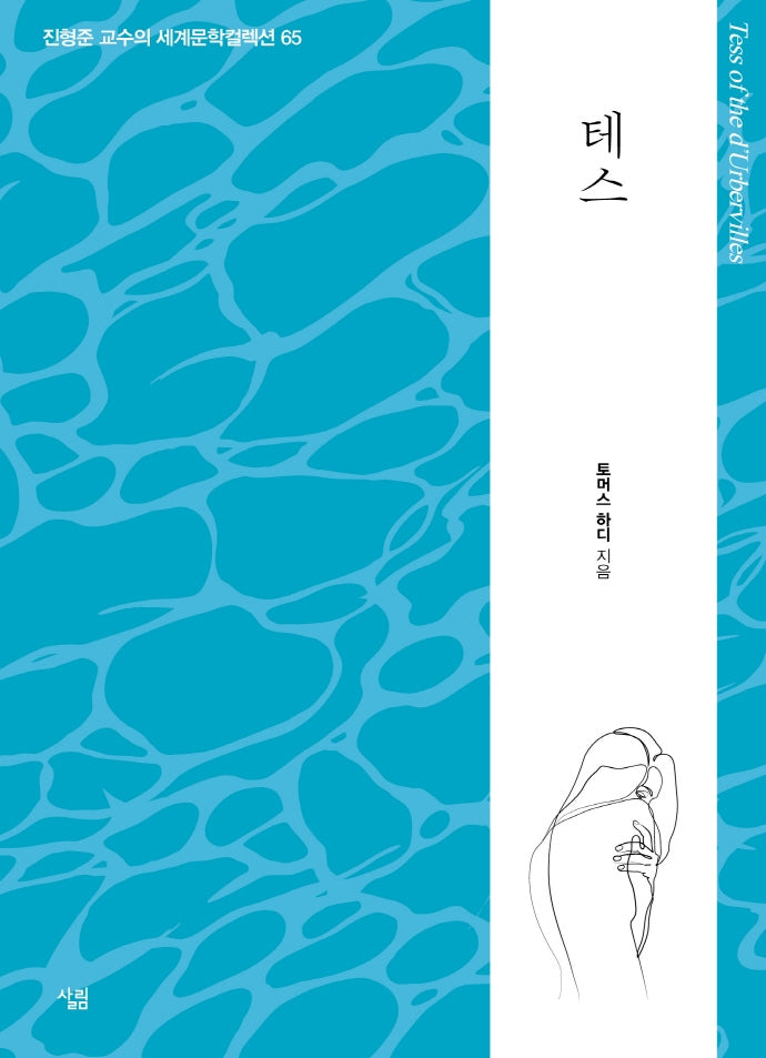 테스(진형준 교수의 세계문학컬렉션 65)