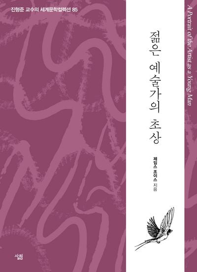 젊은 예술가의 초상(진형준 교수의 세계문학컬렉션 85)
