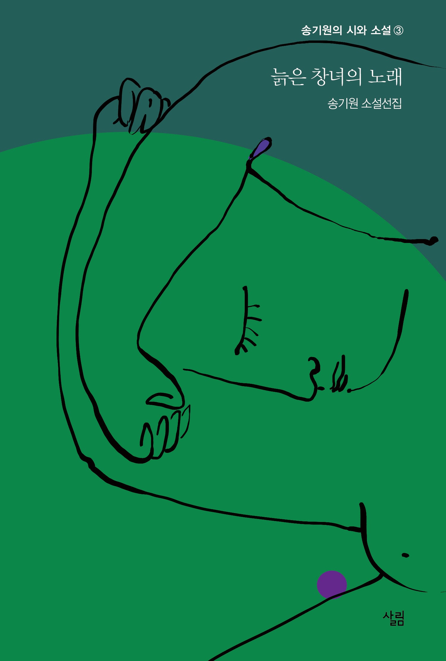 늙은 창녀의 노래(송기원 시와 소설 2)