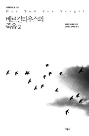 베르길리우스의 죽음 2(세계문학의 숲 22)