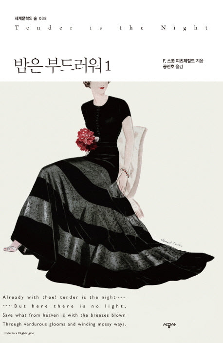 밤은 부드러워 1(세계문학의 숲 38)