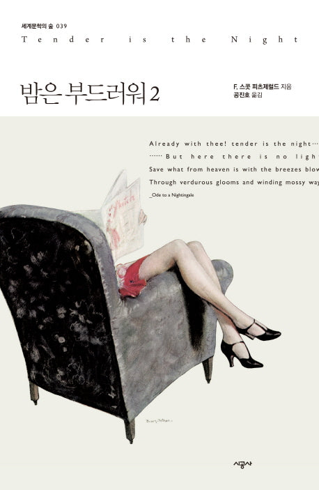 밤은 부드러워 2(세계문학의 숲 39)