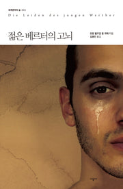 젊은 베르터의 고뇌(세계문학의 숲 42)