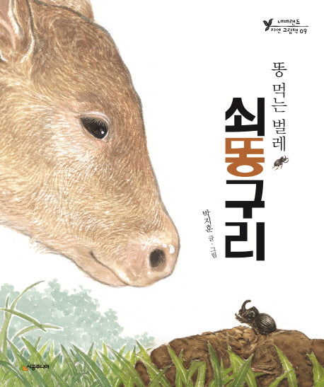 똥 먹는 벌레 쇠똥구리(네버랜드 자연그림책 9)(양장본 HardCover)