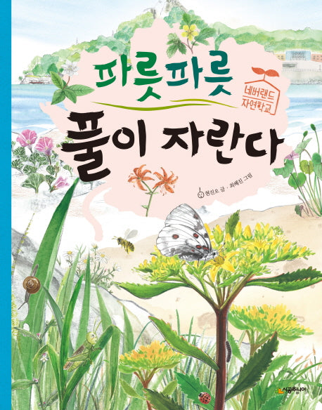 파릇파릇 풀이 자란다(네버랜드 자연학교)(양장본 Hardcover)