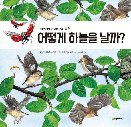 어떻게 하늘을 날까?(그림으로 만나는 자연 관찰)(양장본 Hardcover)