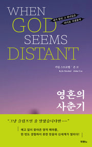 영혼의 사춘기