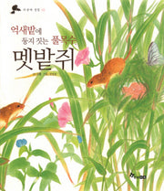멧밭쥐(더불어 생명 2)