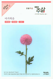 주삶 마가복음(개역개정+쉬운성경+ESV)