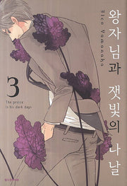왕자님과 잿빛의 나날 3