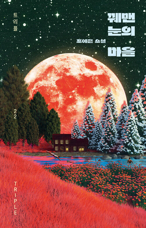 꿰맨 눈의 마을(트리플 22)(양장본 Hardcover)