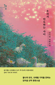 우리가 안도하는 사이(새소설 15)