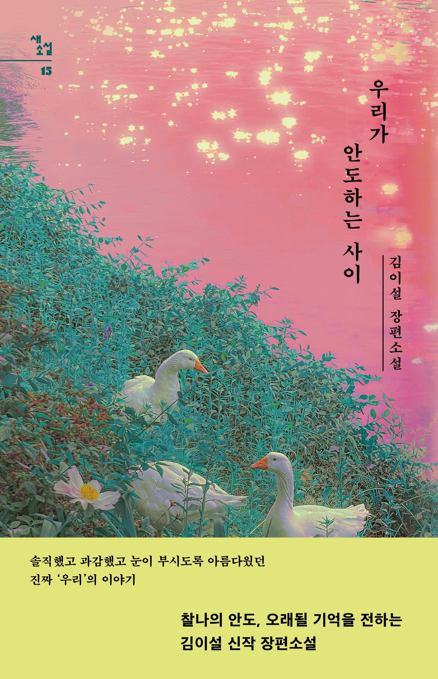우리가 안도하는 사이(새소설 15)