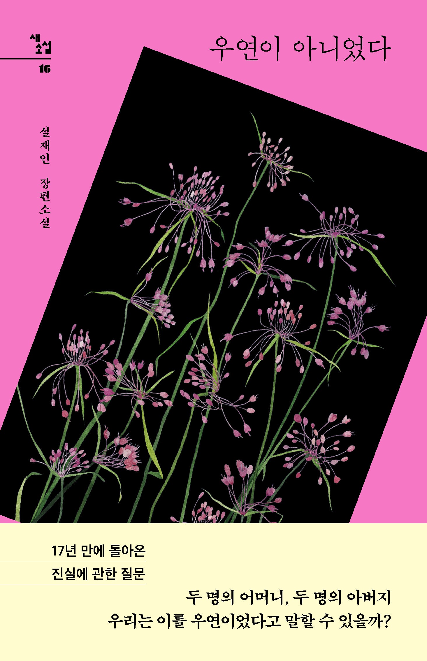 우연이 아니었다(새소설 16)