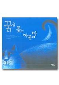 꿈을 좇는 하룻밤