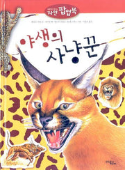야생의 사냥꾼(눈앞에서 만나는 자연 팝업북)(팝업북)