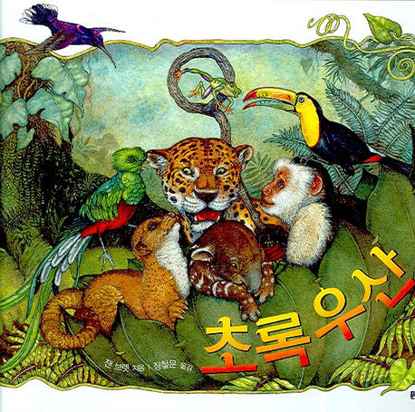 초록 우산(양장본 HardCover)
