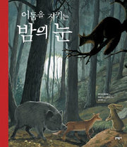 어둠을 지키는 밤의 눈(양장본 HardCover)