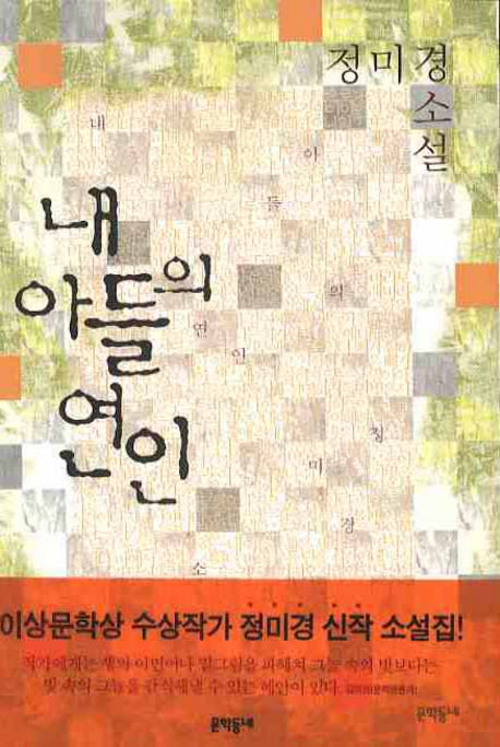 내 아들의 연인