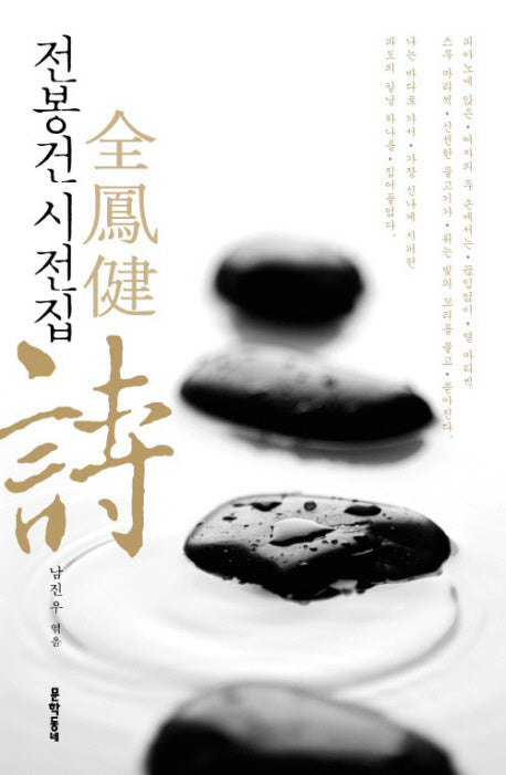 전봉건 시전집(양장본 Hardcover)