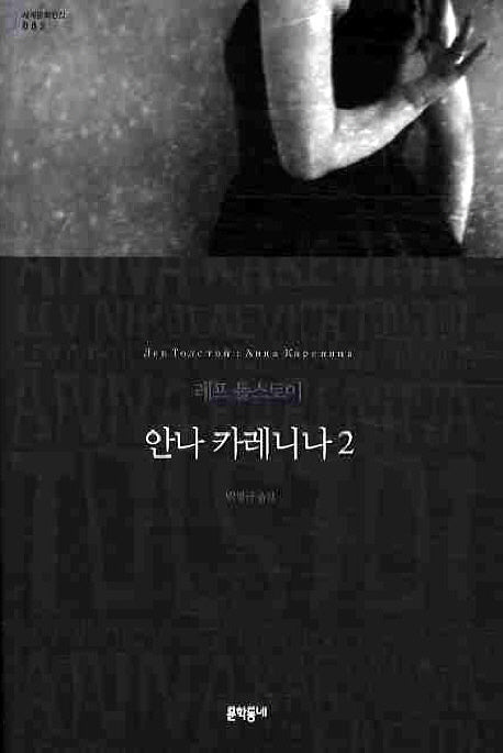안나 카레니나 2(세계문학전집 2)