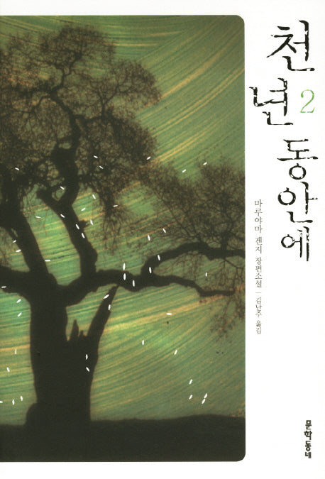 천 년 동안에 2(2판)(양장본 HardCover)