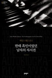 한때 흑인이었던 남자의 자서전(세계문학전집 28)