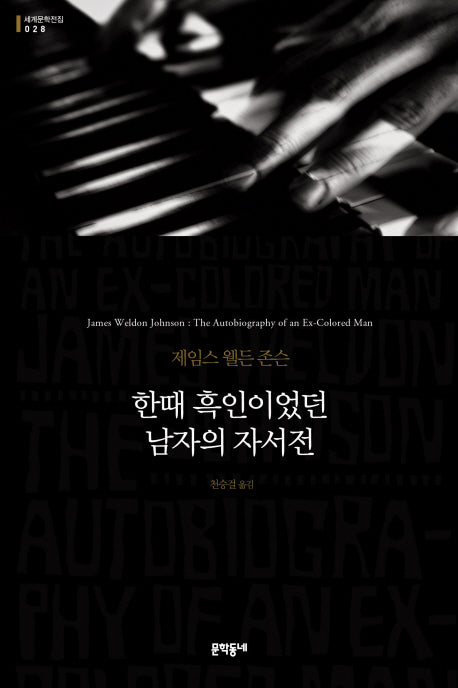 한때 흑인이었던 남자의 자서전(세계문학전집 28)