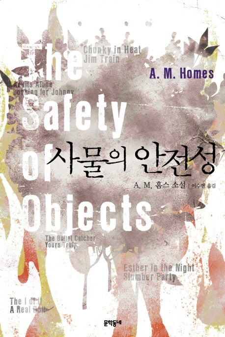 사물의 안전성