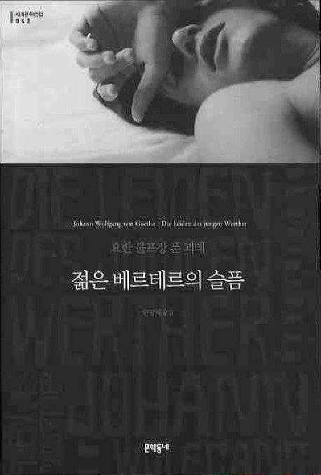 젊은 베르테르의 슬픔(세계문학전집 42)