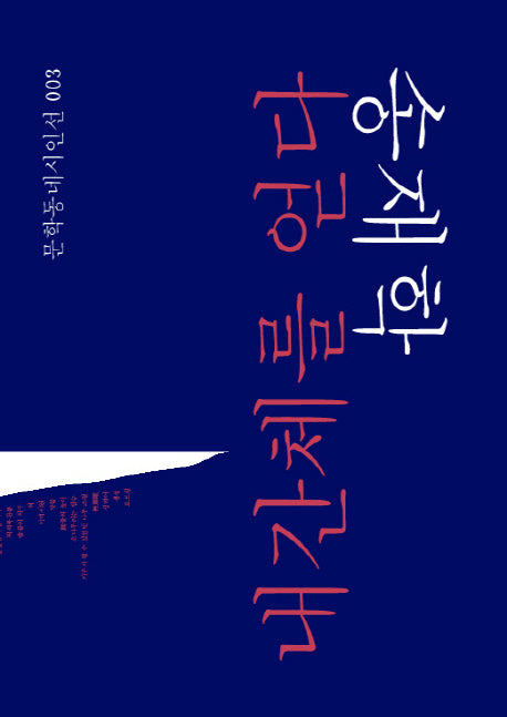 내간체를 얻다(특별판)(문학동네시인선 3)