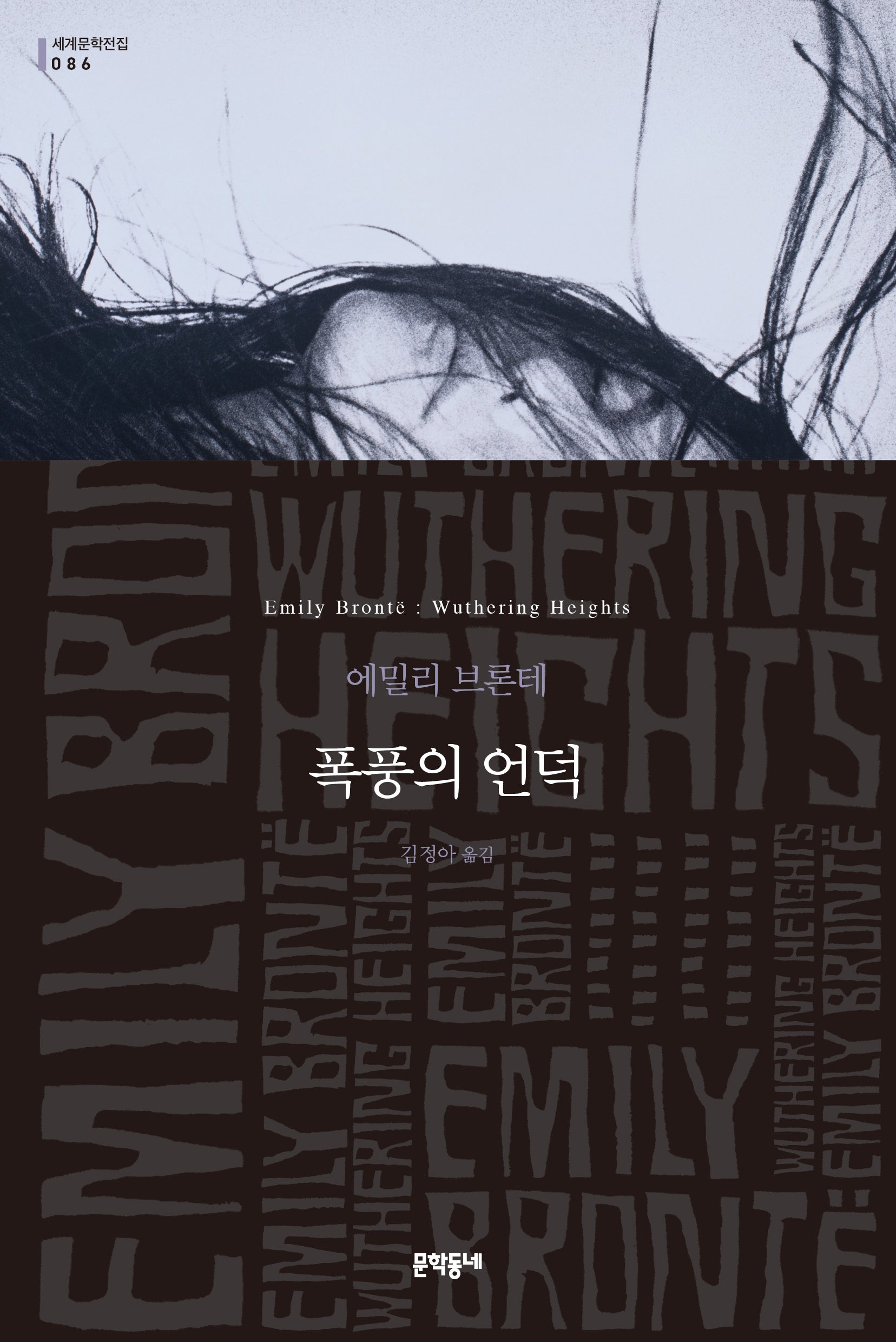 폭풍의 언덕(문학동네 세계문학전집 86)