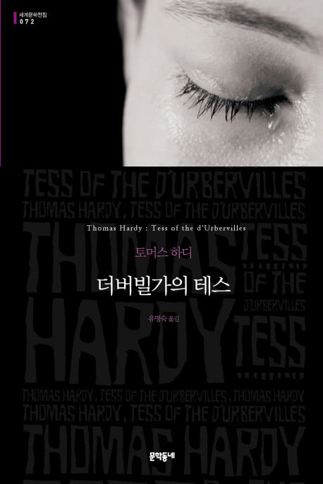 더버빌가의 테스(세계문학전집 72)