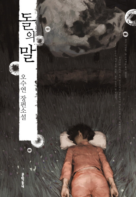 돌의 말(문학동네 장편소설)
