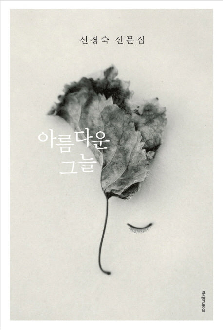아름다운 그늘(3판)(양장본 Hardcover)