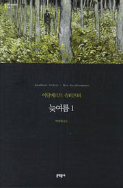 늦여름 1(세계문학전집 87)